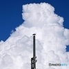 夏雲