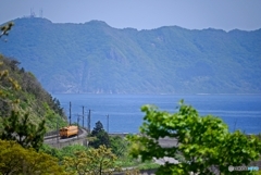 函館山を背に走る