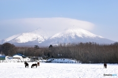 雪の駒ケ岳 ２