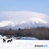 雪の駒ケ岳 ２