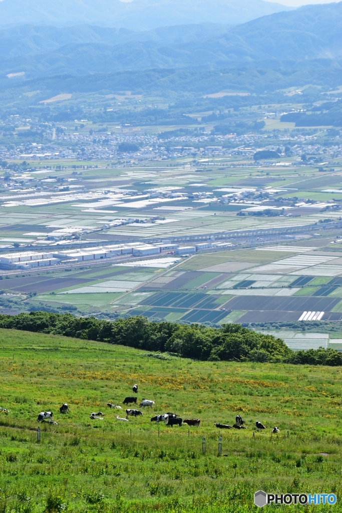 城岱牧場からの大野平野