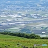 城岱牧場からの大野平野