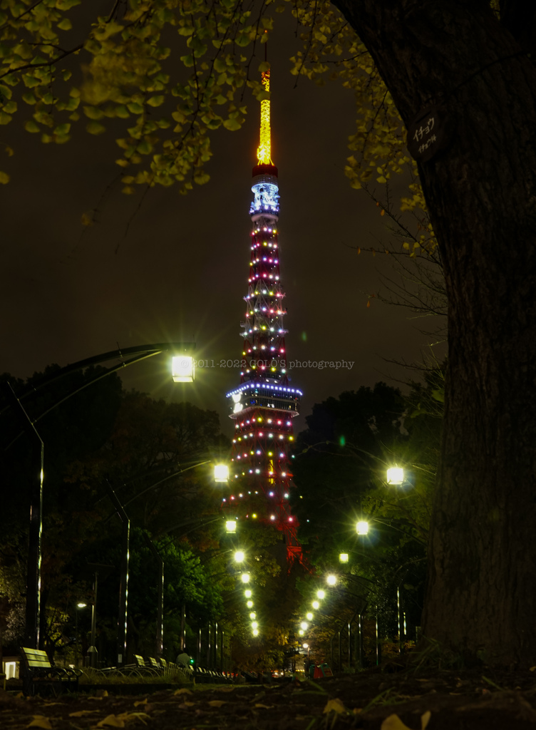 東京タワー