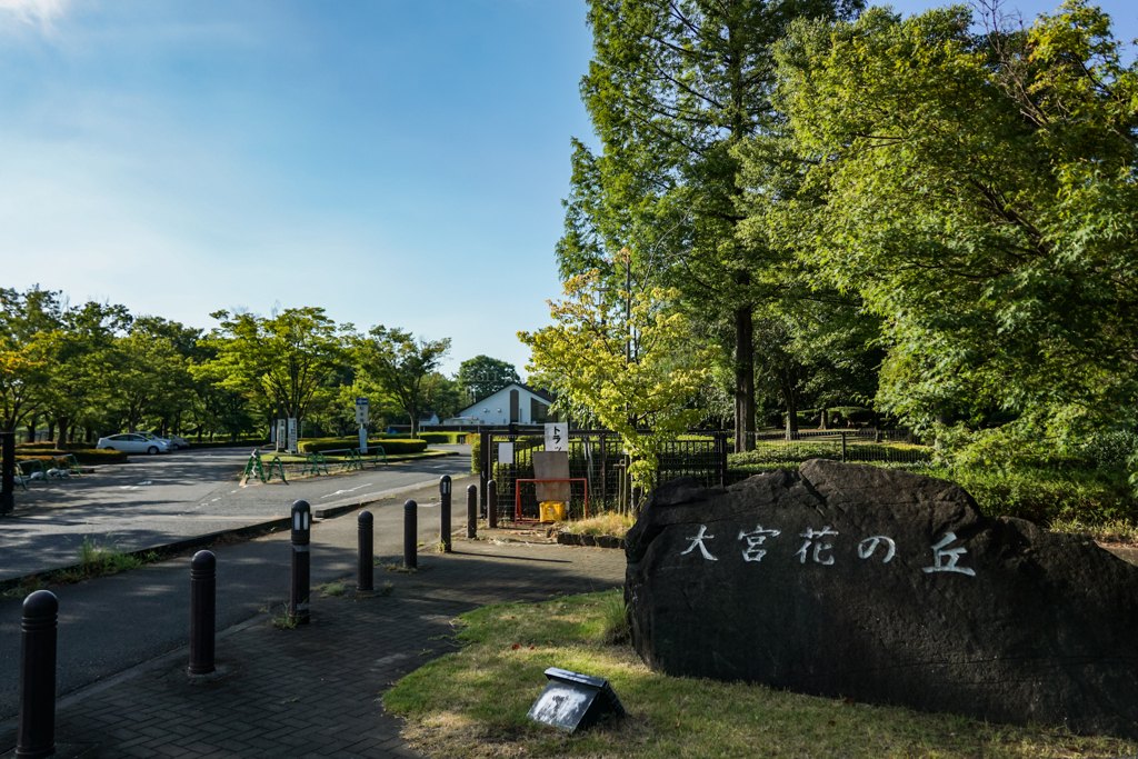 大宮花の丘農林公苑