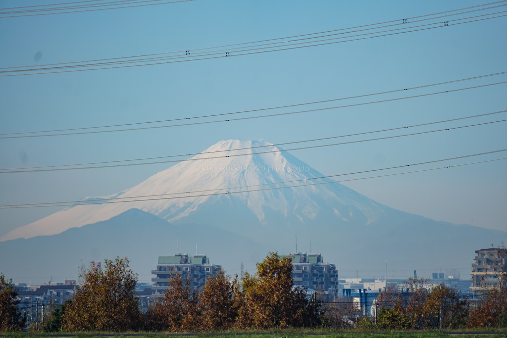 江戸川から見える富士山
