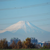 江戸川から見える富士山