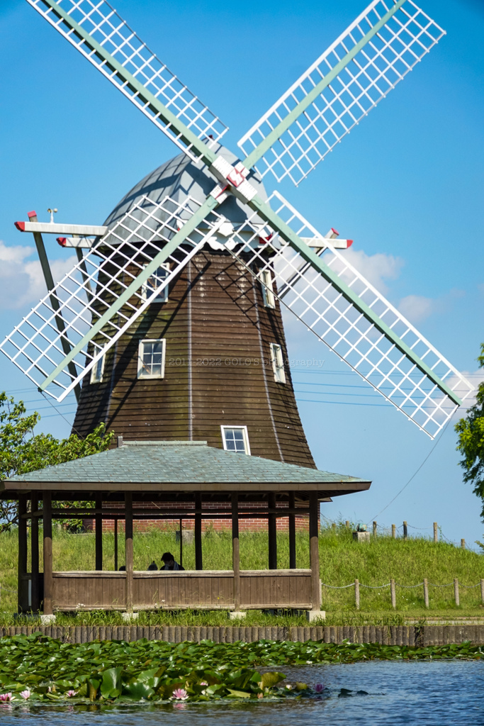 20220524_054351000_iOS