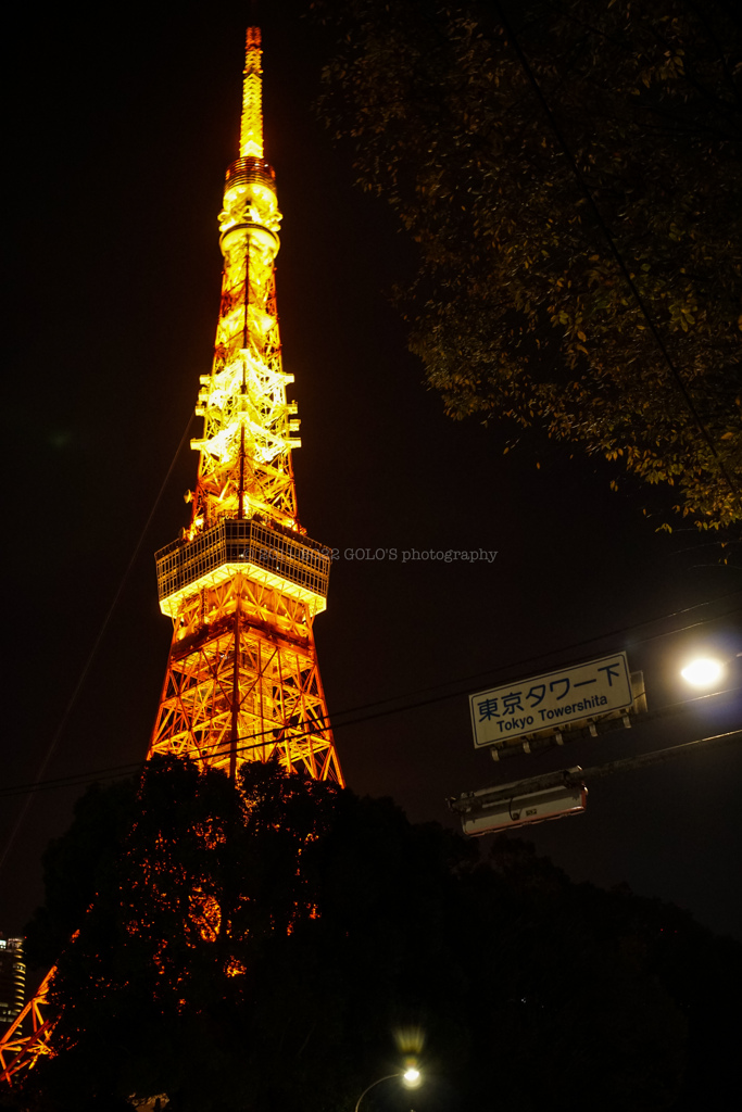 夜中の東京タワー