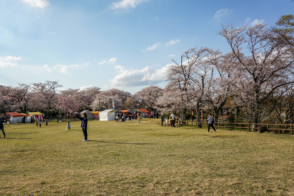 あけぼの山農業公園