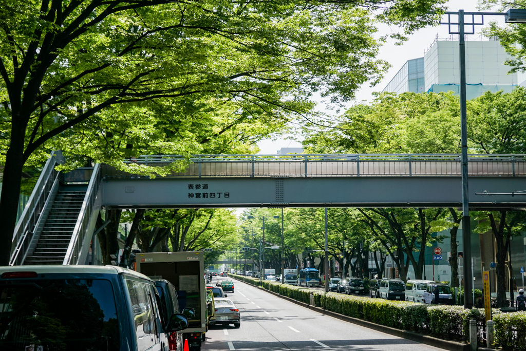 春の表参道