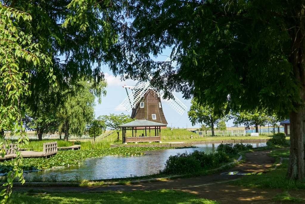 20220524_054325000_iOS