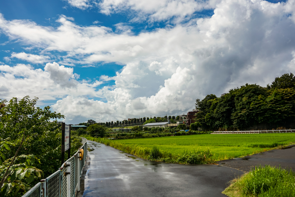 雨上がり