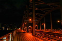 夜中の丸子橋