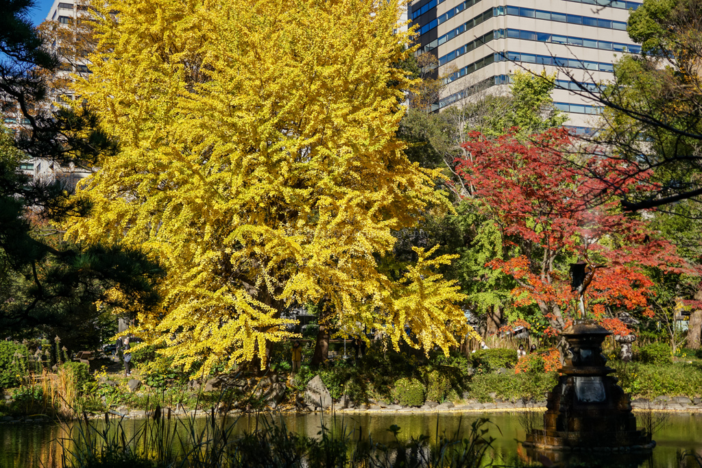秋の日比谷公園