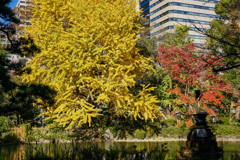 秋の日比谷公園