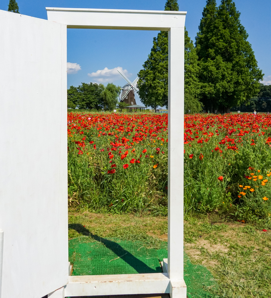 20220524_054126000_iOS