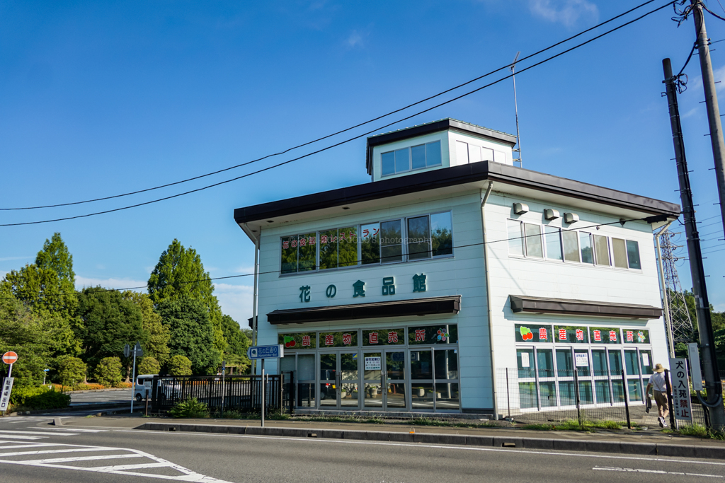 大宮花の丘農林公苑