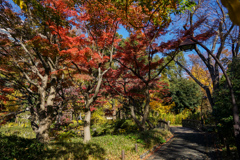 秋の日比谷公園