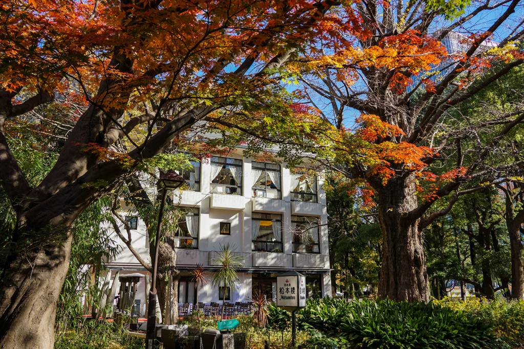 秋の日比谷公園