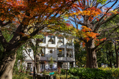 秋の日比谷公園
