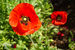 20220524_054232000_iOS