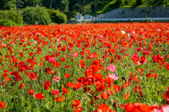 20220524_054248000_iOS