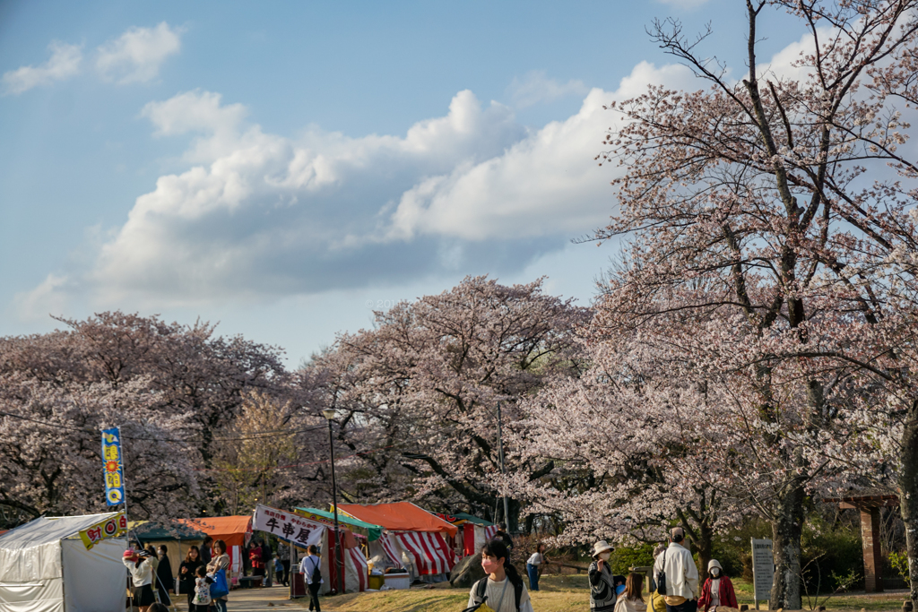 あけぼの山農業公園