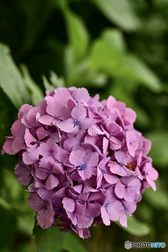 DSC_3130