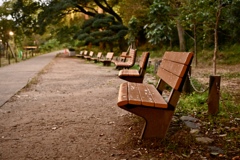 夕暮れの公園散歩