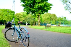 週末は公園まで