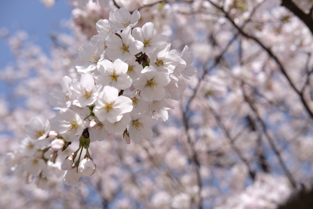 2A9DBBF9-FBF4-404B-BC5C-BA42A5D987CD