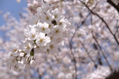 2A9DBBF9-FBF4-404B-BC5C-BA42A5D987CD