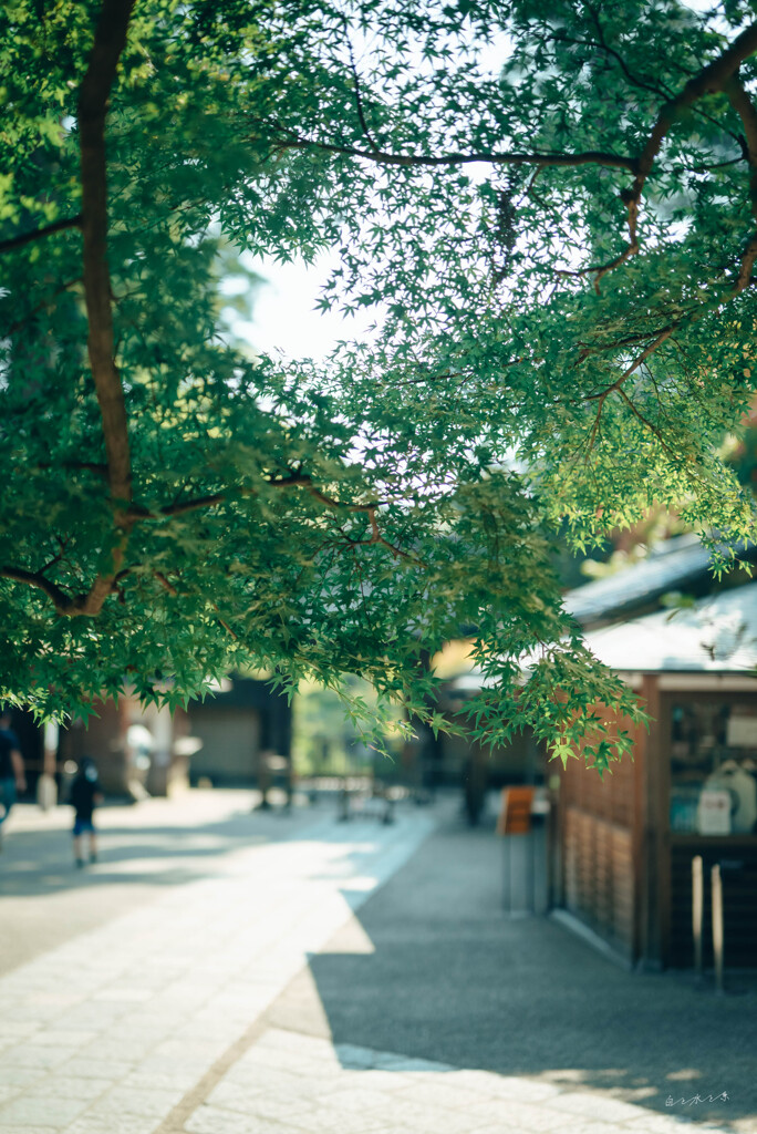 寺院の日常