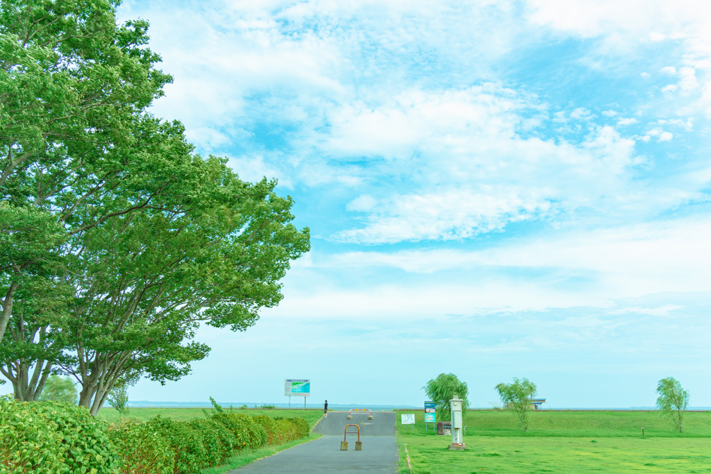 湖畔の公園