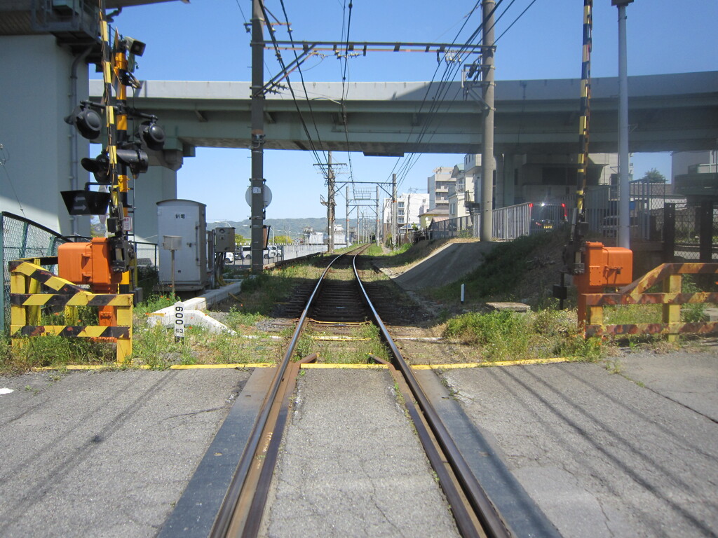 南海電車で和歌山４月１７日 073