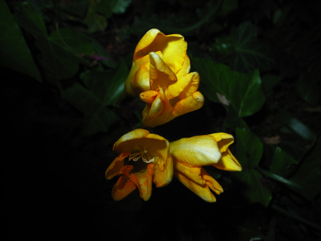R0014011