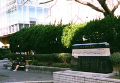 めだかの学校