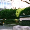 めだかの学校