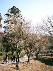 さんぽみち