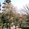 さんぽみち