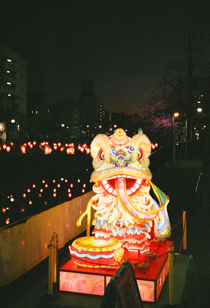 獅子