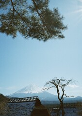 富士を望む