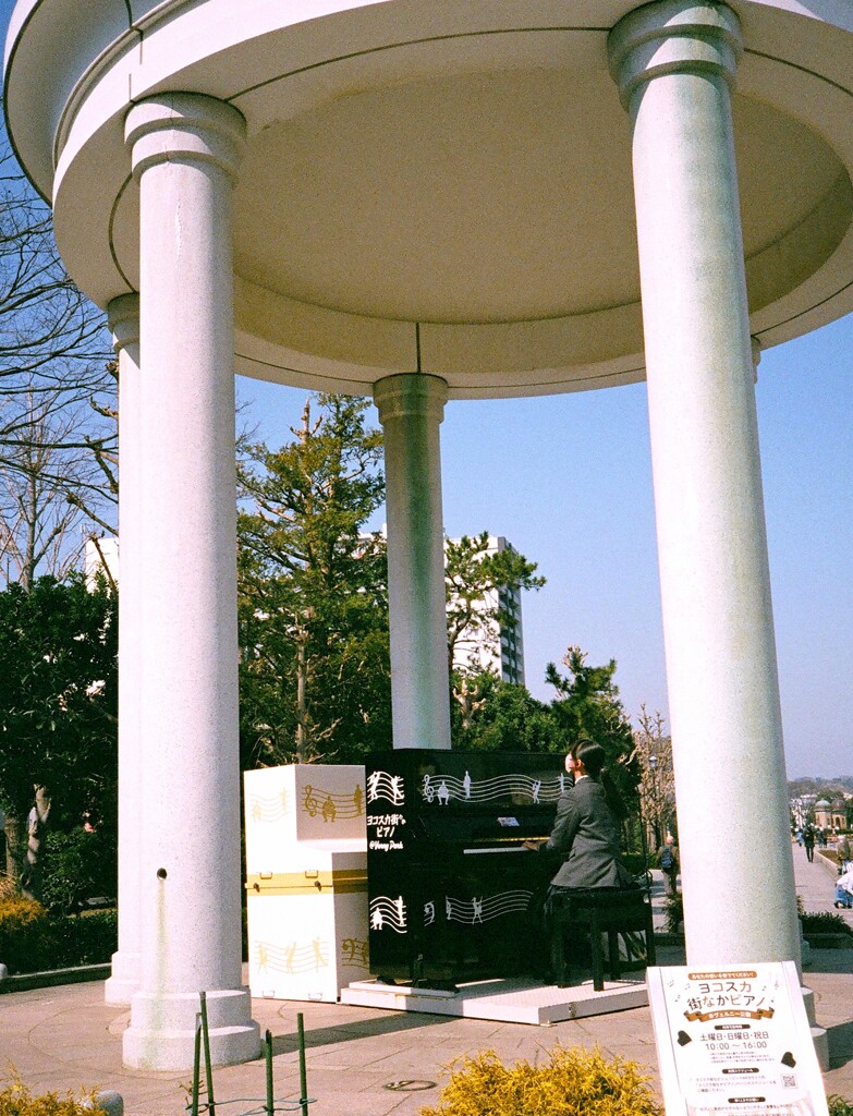 公園のピアニスト