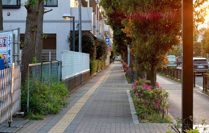 夕暮れ