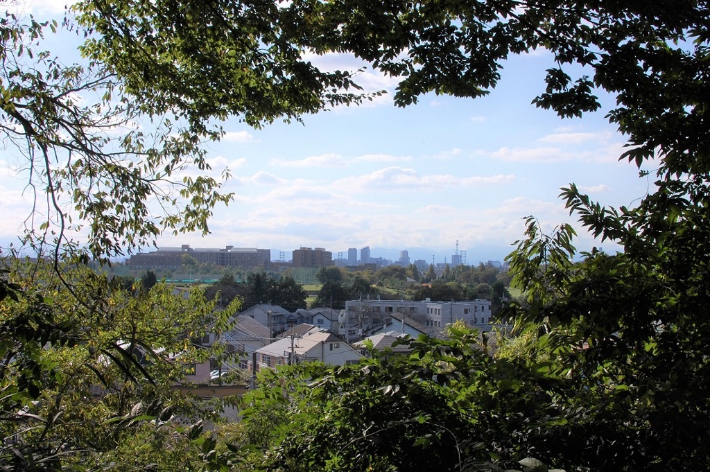 小高い丘の上から