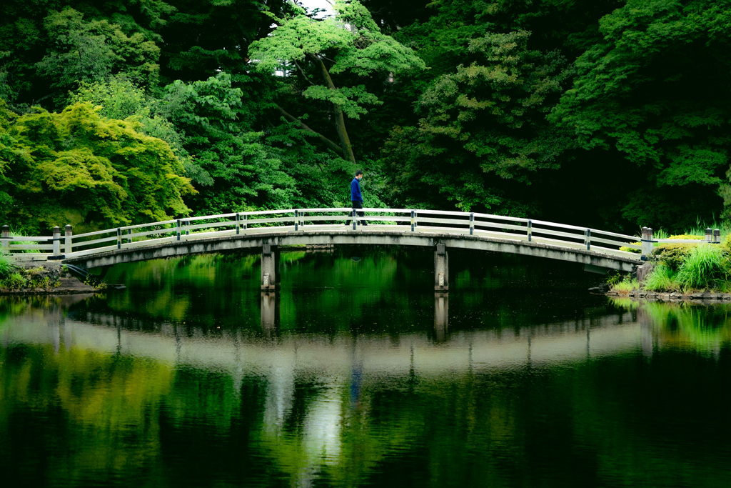 橋