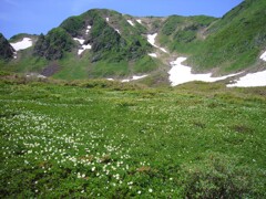 お山の花園