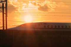 夕日を駆け走る新幹線