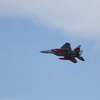 岐阜基地航空祭　10/12