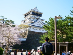 桜と小倉城